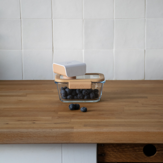 Electronic Vacuum Pump