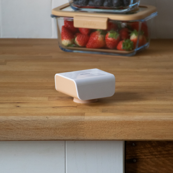 Electronic Vacuum Pump